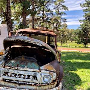Little Eeden Farm Pine Camp