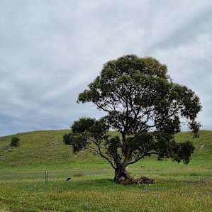 Gum Gully Heights, Rockleigh SA