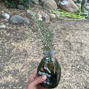 Cute ornamental pieces throughout the camp.