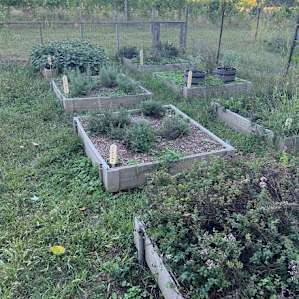 Robust Herb Garden