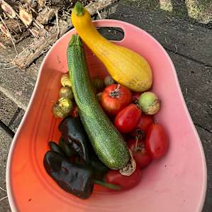 Uncle B's Farm