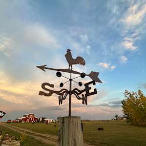 Uncle B's Farm