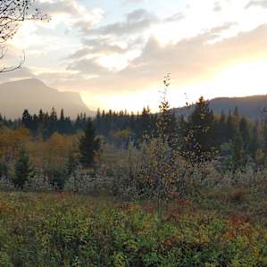 Rocky Mountains Glamping Site #1