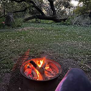 The Auntie's Grove at Moonstone