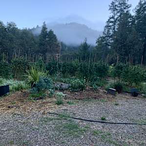 Garden look out