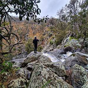 Kookabookra Falls
