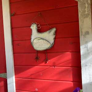 The Canvas Cottage