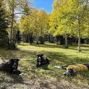 Enchanted Circle Campground (E<<)