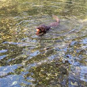 Camping on the Crystal Clear Creek