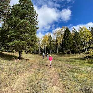 On a hike to explore the other campsites and the rest of the property.