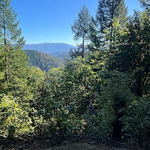 The view looking out in front yurt.