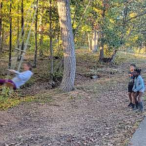 Tree swing!