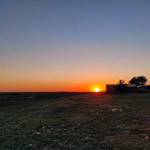 Pheasant Hunters Paradise
