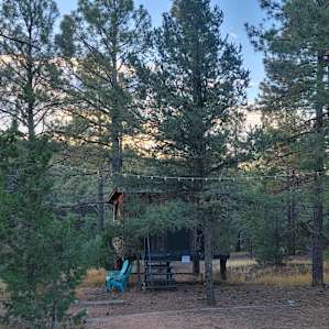 Tecolote/ Pegasus Treehouse Cabins