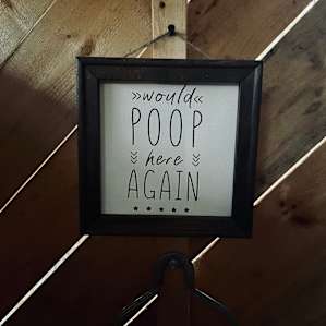 The outhouse was so cute and clean!