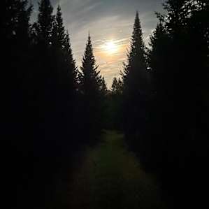 One of the most stunning views from my trip was walking back to my site from the outhouse and seeing the full moon through the pines. Picture doesn’t do it justice.