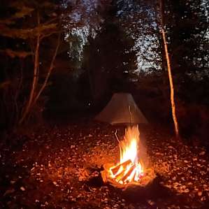 Site 3