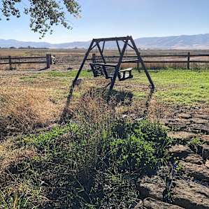 Little swing set for enjoying the view