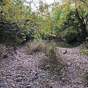 Angel Creek