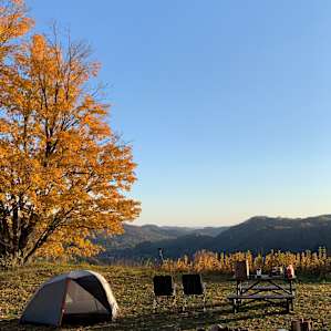 Free Verse Campground