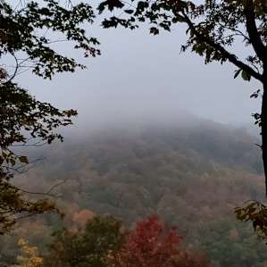 GLENVILLE HIGH TREEHOUSE (4000')