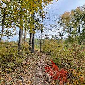 Falls Lake Trail