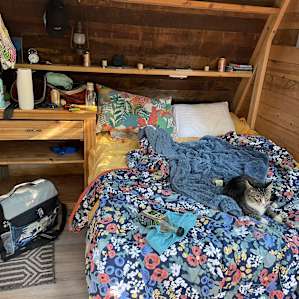 Hollyhock Farm Tiny Cabin