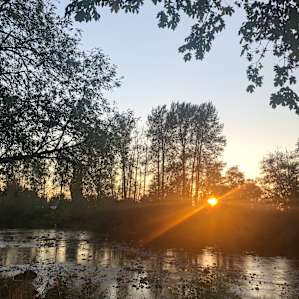 Molalla Ripple