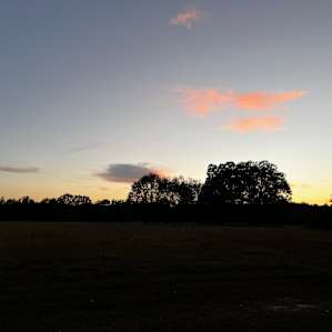 Camp Topisaw