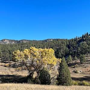 Resort Valley Ranch Camp