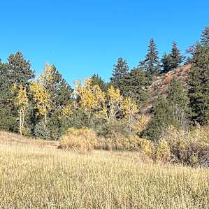 Resort Valley Ranch Camp