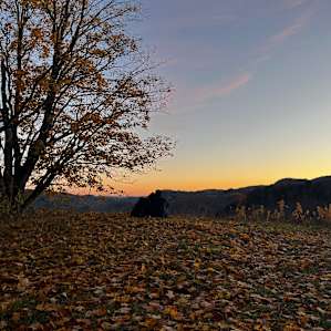 Free Verse Campground