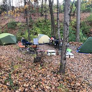 Fruitdale Farm Primitive Camping