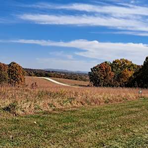 PeaceTree Farms Sunny Meadow