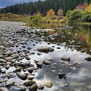 River Overlook Dome, Cedar Bloom
