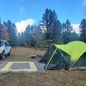 Camp Stonewood Ranch