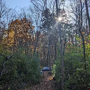 Fruitdale Farm Primitive Camping