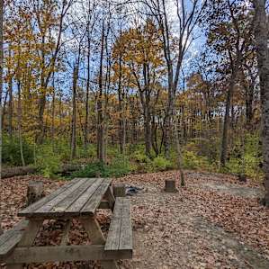 Fruitdale Farm Primitive Camping