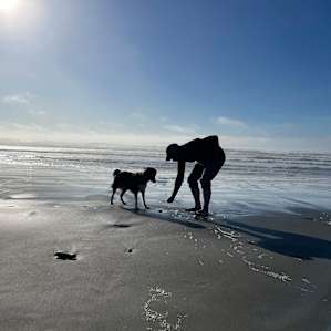 The beach/coastal access was a max. 10 minutes walk from the campsites and was the most enjoyable part of the stay!