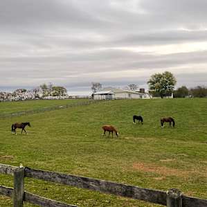 Hunters RV Park by Washington DC