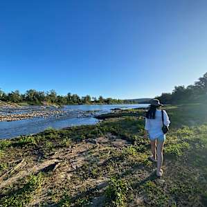 River Camping Yarramundi