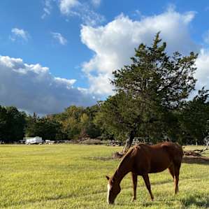 Llamaland Tent Camping