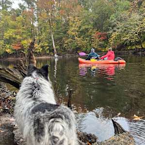 Black River Camping Ventures