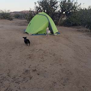 Pitched the tent on the "high ground"