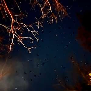 So many stars!