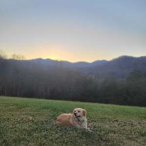 VISTA360 at CreekStone-Campsite 1