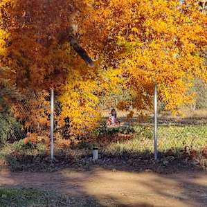 Beaver Creek Oasis