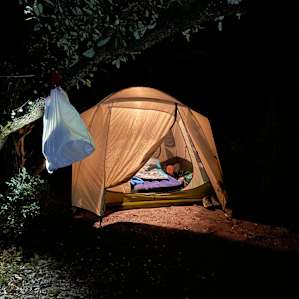 Camping near Hamilton Pool
