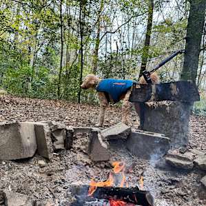 Camp Topisaw Duck Pond Overlook