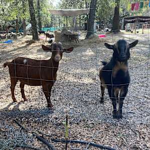 Goat House Farm Glamping